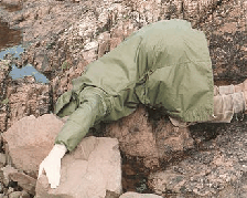 Picture of Michael Joint with his head in a rock pool.